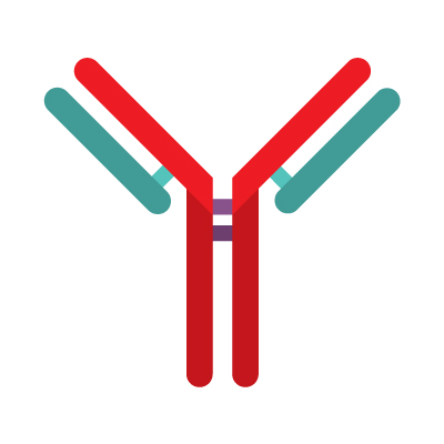 icon of an antibody