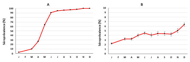  Estimations de la séroprévalence des anticorps produits à la suite d’un vaccin (graphique A) et à la suite d’une infection naturelle (graphique B) de janvier à décembre 2021.