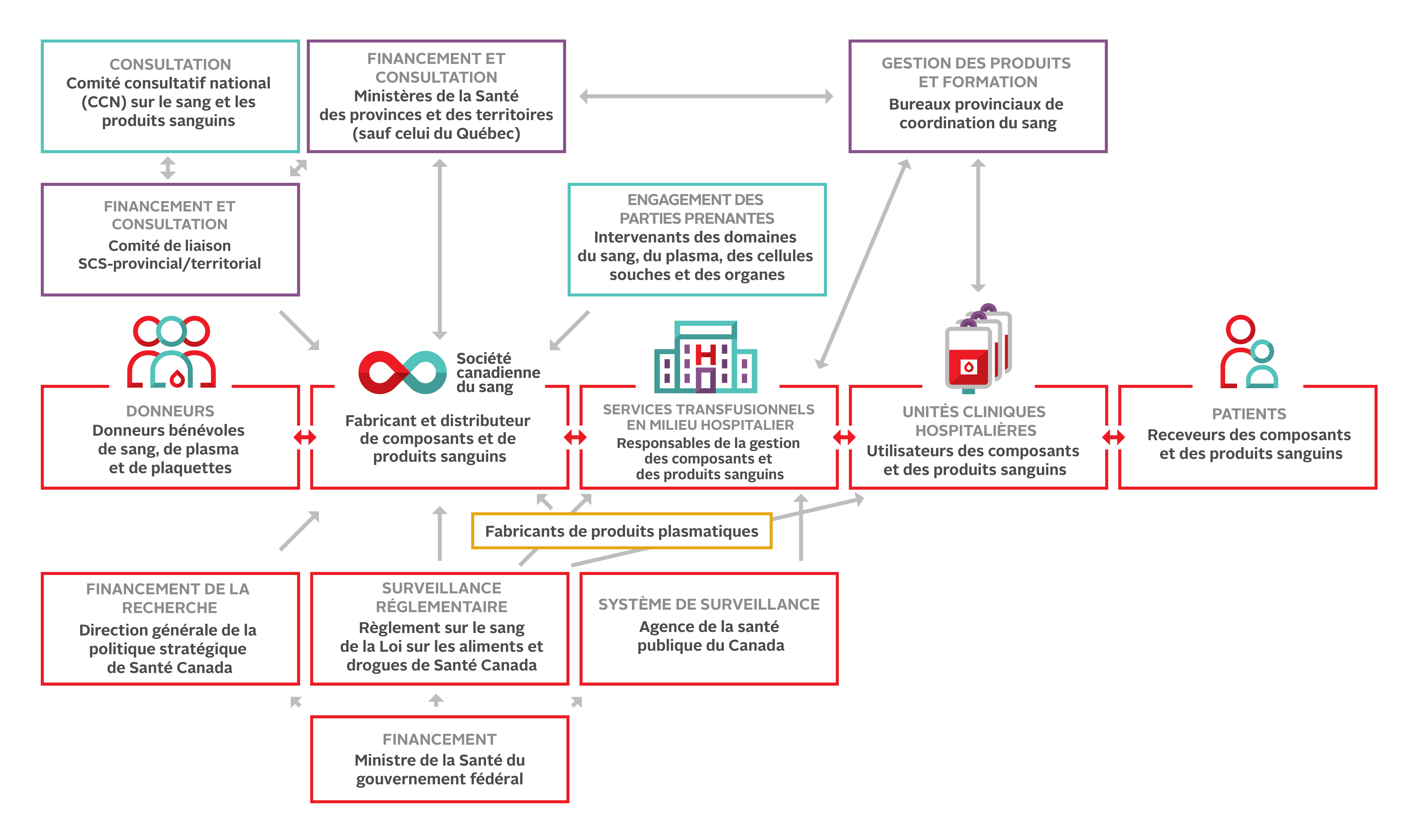 Relations et supervision du système du sang au Canada. Par souci de simplicité, la province de Québec n’est pas incluse.