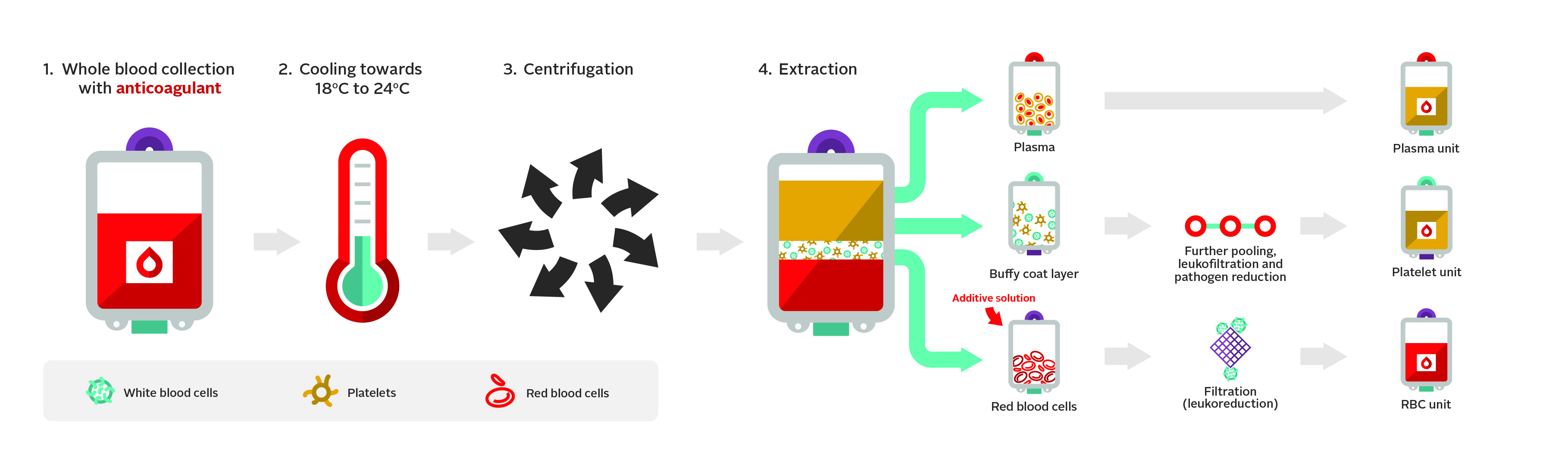 Image showing the overview of the buffy coat method used by Canadian Blood Services in the manufacturing of blood components.