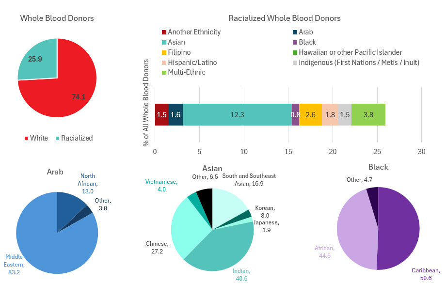 Self-reported ethnic group composition for whole blood donors, 2024.