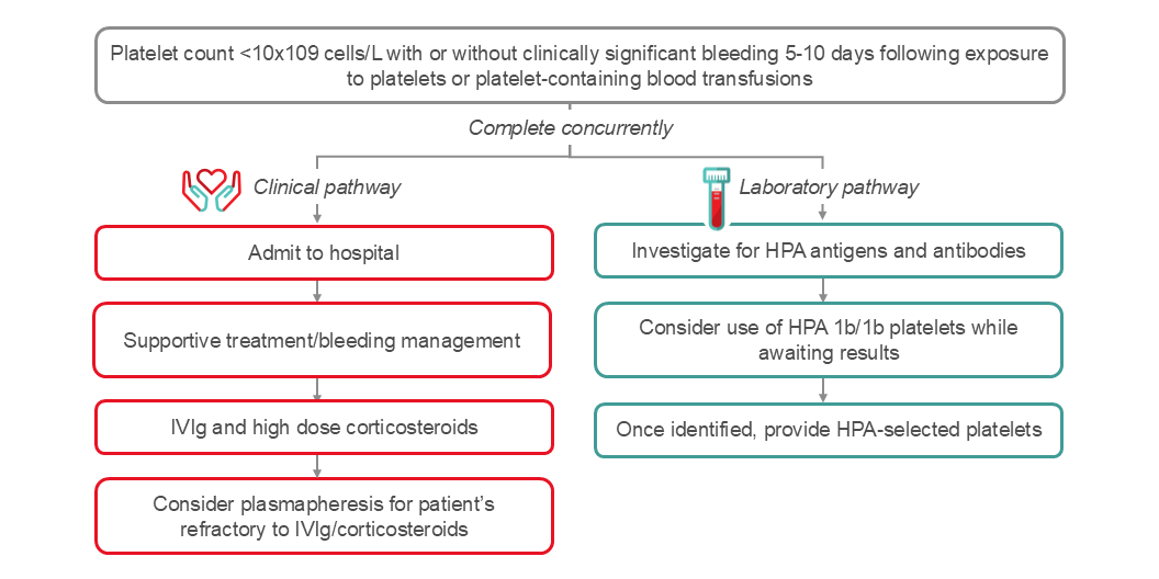 Management of post-transfusion purpura (PTP).