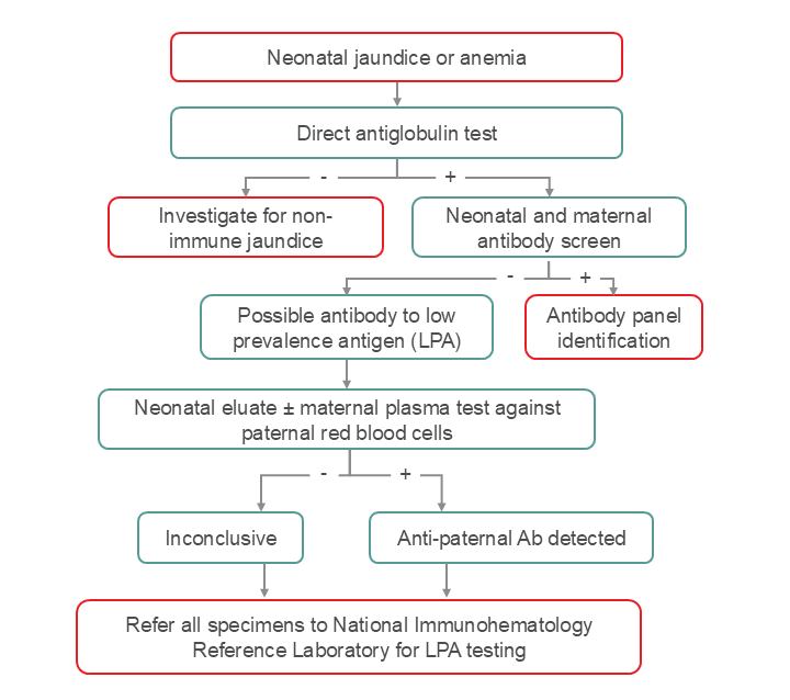 Recommended testing strategy for the investigation of an antibody to a low prevalence antigen (LPA) such as anti-Mi(a).