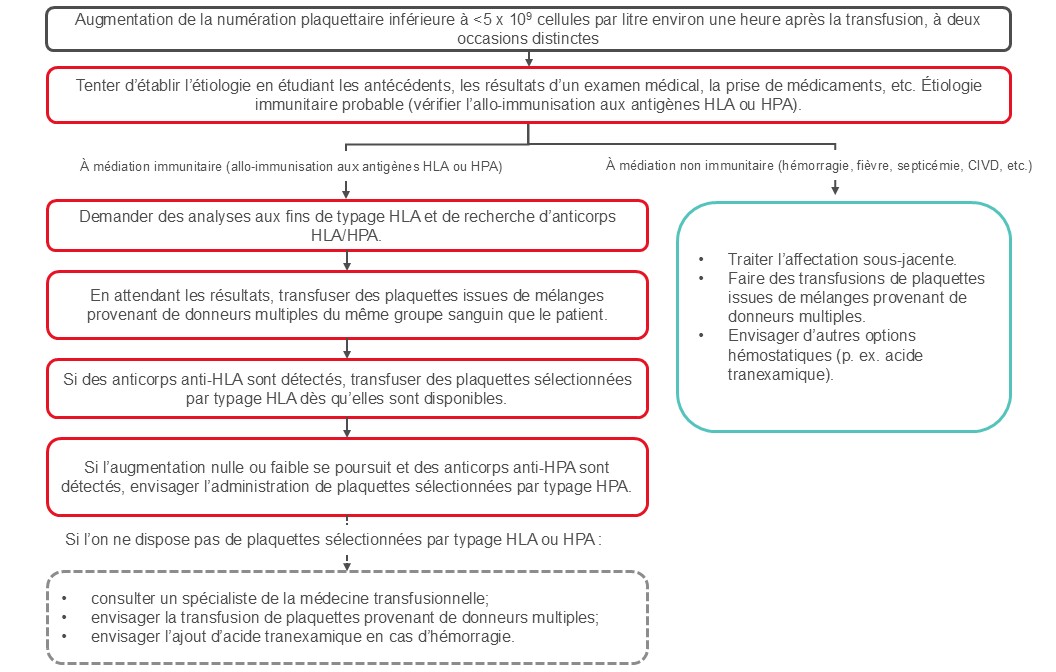Prise en charge de l’état réfractaire à la transfusion de plaquettes. L’algorithme tient compte des lignes directrices publiées par l’ICTMG.
