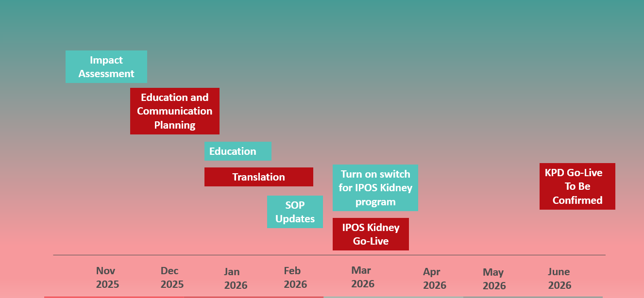 A visual timeline