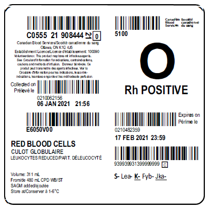 Image of a Canadian Blood Services ISBT 128 label