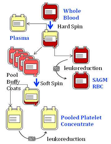 Apheresis Platelets