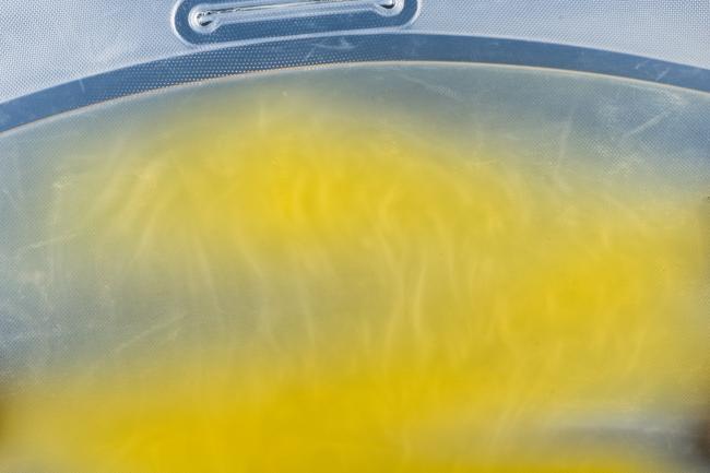 A close up view of a swirl of yellow liquid near the edge of a bag.