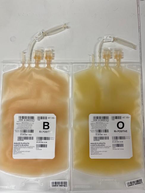 Typical platelet units side by side