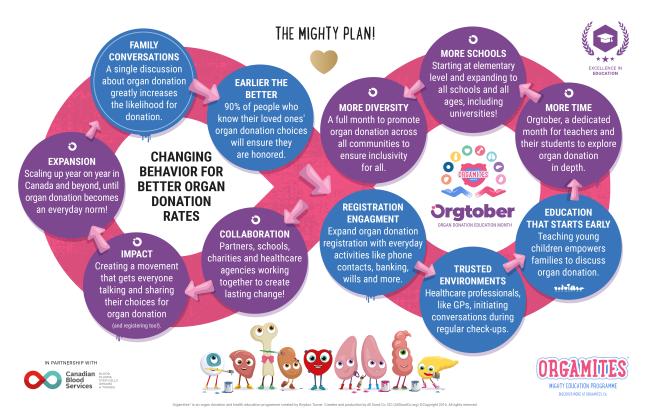 a infographic showing the steps in the plan to deliver an Orgamites education program that changes culture 